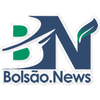 Logotipo da empresa BOLSAO NEWS