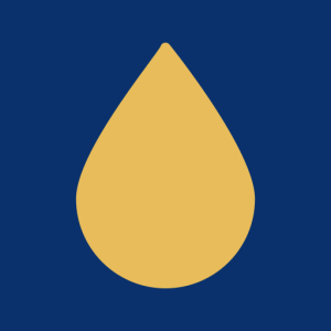 Logotipo da empresa LATICINIOS DOM MIRO