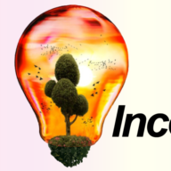 Logotipo da empresa INCOMATTI FLORESTAL