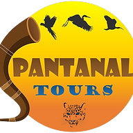 Logotipo da empresa PANTANAL TOURS