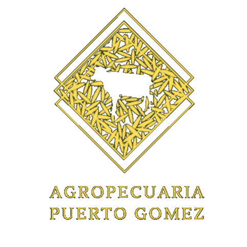 Logotipo da empresa IDEA BUSINESS