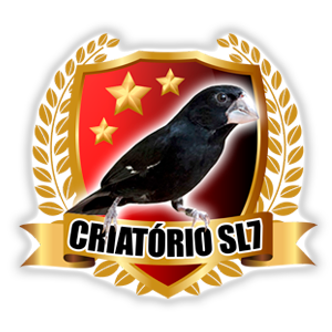 Logotipo da empresa SL7 ENGENHARIA E CONSTRUCOES