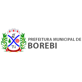 Logotipo da empresa FME DE BOREBI