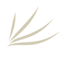 Logotipo da empresa DOMUM SERVICOS MEDICOS LTDA