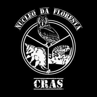 Logotipo da empresa NUCLEO DA FLORESTA