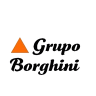 Logotipo da empresa TRANSBORGHINI