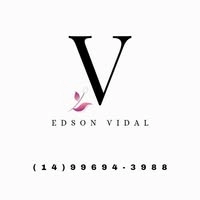 Logotipo da empresa VIDAL DISTRIBUIDORA