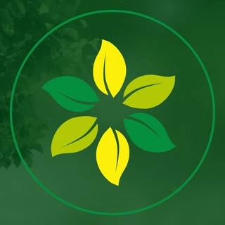 Logotipo da empresa GRAO VIDA