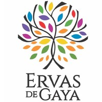 Logotipo da empresa GAIALE