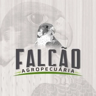 Logotipo da empresa AGROPECUARIA FALCAO