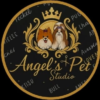 Logotipo da empresa ANGELS PET STUDIO
