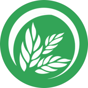 Logotipo da empresa BIANCA TIEMI SAITO 40424191865