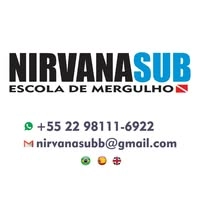 Logotipo da empresa NIRVANASUB