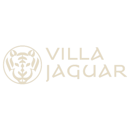 Logotipo da empresa VILLA JAGUAR