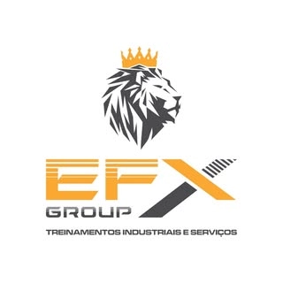 Logotipo da empresa EFX GROUP