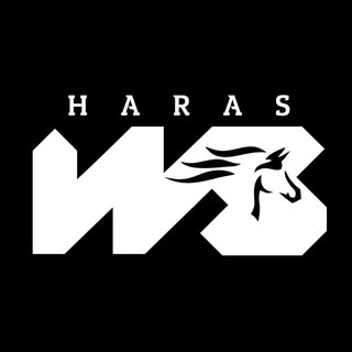 Logotipo da empresa HARAS WS