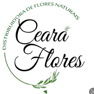 Logotipo da empresa CEARA FLORES