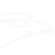 Logotipo da empresa FENIX COLEGIO E CURSOS ARACATUBA