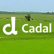 Logotipo da empresa CADAL AGRO PECUARIA LTDA
