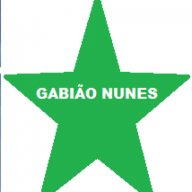 Logotipo da empresa JL NUNES GABIOES