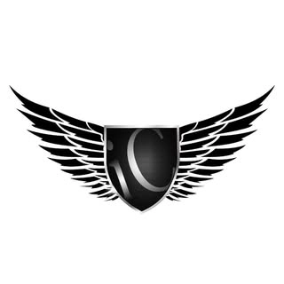 Logotipo da empresa INFINITY CUSTOM ESTETICA E PINTURA AUTOMOTIVA LTDA
