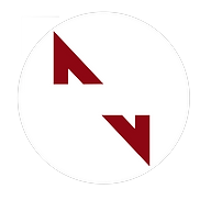 Logotipo da empresa SNYG