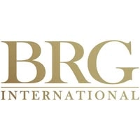 Logotipo da empresa BRG BRASIL INC