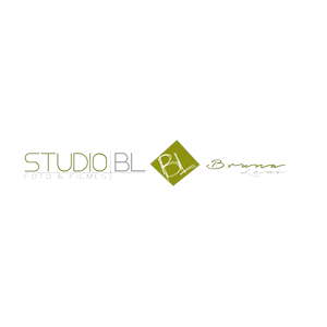 Logotipo da empresa BN MERCADO DE ALIMENTOS E FRIOS LTDA