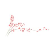 Logotipo da empresa CENTRO EDUCACIONAL SER STELLA - OLHOS QUE ENVOLVEM