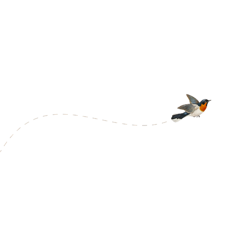 Logotipo da empresa NEOKODE - WEB DEVELOPMENT