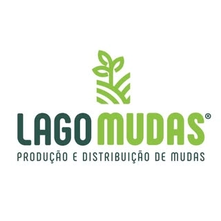 Logotipo da empresa LAGO MUDAS
