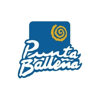 Logotipo da empresa LESTONSUR