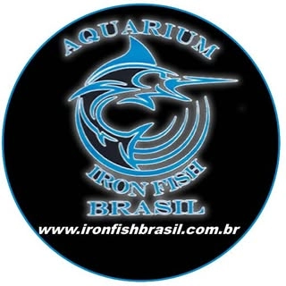 Logotipo da empresa VALDINEIA APARECIDA DE FREITAS