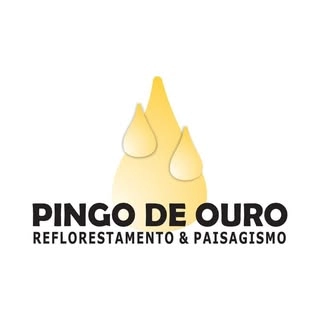 Logotipo da empresa VIVEIRO PINGO DE OURO