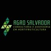 Logotipo da empresa AGRO SALVADOR