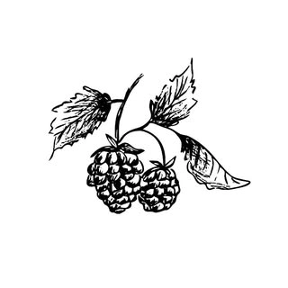 Logotipo da empresa GARIMPO BRECHO