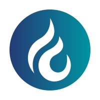 Logotipo da empresa BLUEFLARE CO