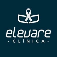 Logotipo da empresa ELEVARE TRANSPORTADORA