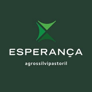 Logotipo da empresa ESPERANCA AGROSSILVIPASTORIL
