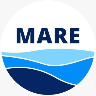 Logotipo da empresa MAREPESCADOS.COM - COMERCIO DE PESCADOS LTDA.