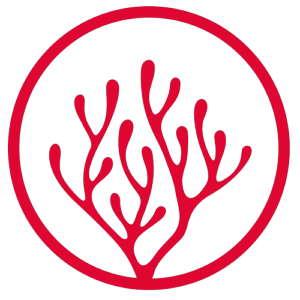 Logotipo da empresa MTD AGRO