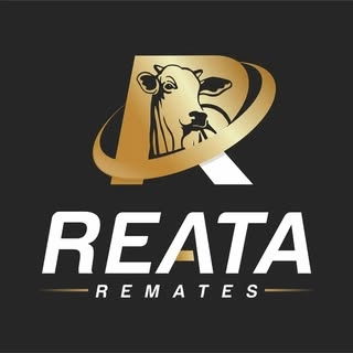 Logotipo da empresa REATA REMATES LEILAO VIRTUAL RURAL