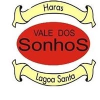 Logotipo da empresa HVS - HARAS VALE DOS SONHOS