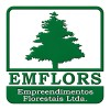 Logotipo da empresa EMFLOR EMPREENDIMENTOS FLORESTAIS