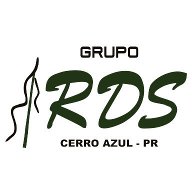 Logotipo da empresa RDS TRANSPORTES