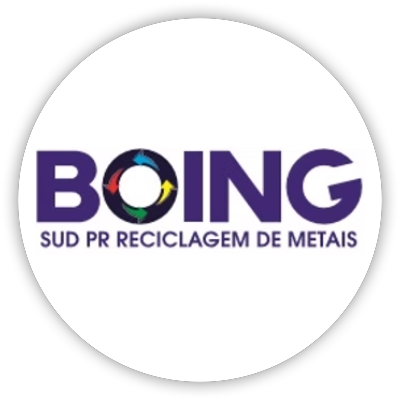 Logotipo da empresa BOING SUDOESTE