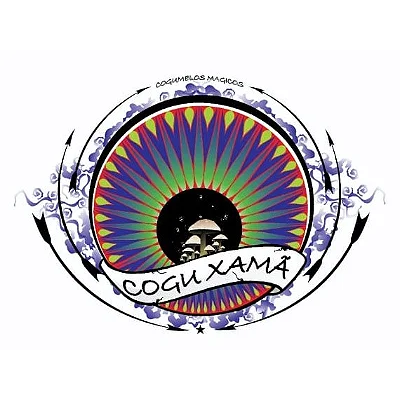Logotipo da empresa RAFAEL DEMARCHI RODRIGUES