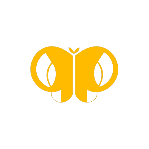 Logotipo da empresa DAVI BRUNO NASCIMENTO BRITO