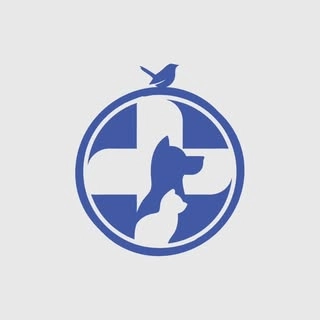 Logotipo da empresa TOCA DE SAO FRANCISCO