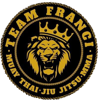 Logotipo da empresa ALAN FRANCI DA SILVA PEREIRA